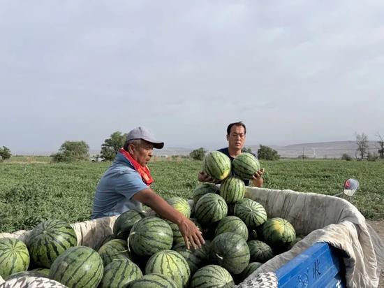 平邑吃瓜520,一场盛夏的味蕾盛宴