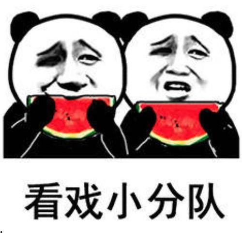 吃瓜网友表情包,揭秘网络时代的“表情经济”