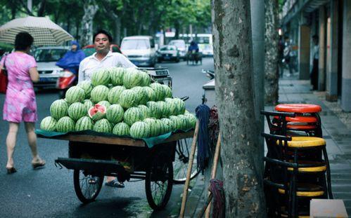 围栏吃瓜,揭秘围栏生活与美食的奇妙融合