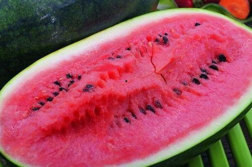 减肥饭前吃的瓜,轻松减肥的秘密武器