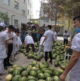 四川交通职业吃瓜视频,揭秘行业幕后趣闻