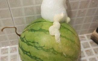 呕吐可以吃瓜么,吃瓜真的可以缓解不适吗？