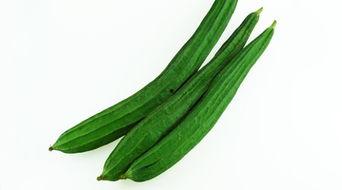 夏看苗吃瓜,一场关于时令与收获的田园之旅