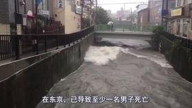 台风天天吃瓜,一场别开生面的热带风暴之旅