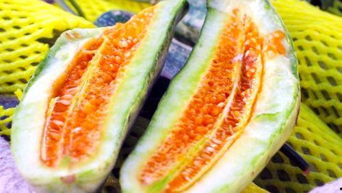 吃瓜9号,网络红人的崛起与影响力