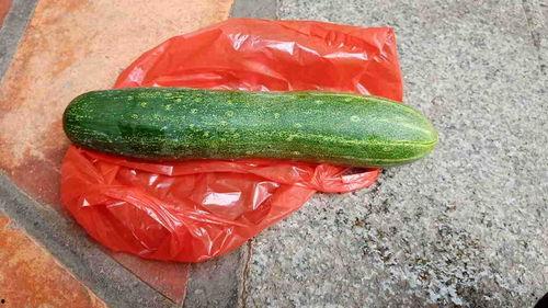 哪些瓜最值得吃,解暑又营养