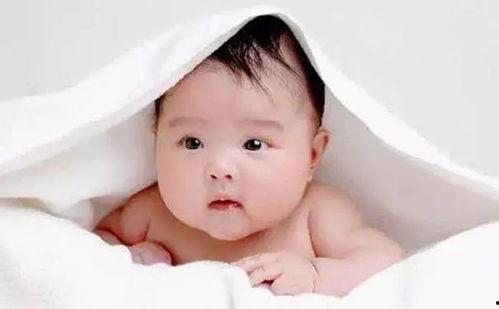 适合婴儿吃的瓜,适合婴儿食用的健康瓜类推荐