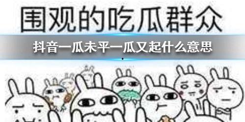 抖音吃瓜合法吗,合法边界与网络舆论的平衡