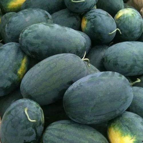 看瓜能吃么怎么吃,看瓜也能吃，教你如何美味享用