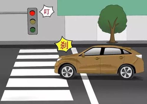 黑车吃瓜闯红灯,惊险一幕引发社会关注