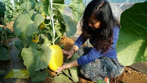 带你吃瓜搞笑古诗,带你领略搞笑古诗的魅力