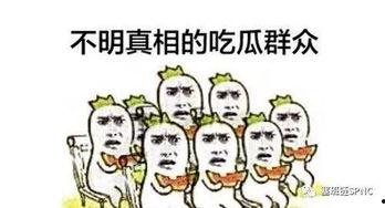 吃瓜群众看热门,热门事件背后的真相与观点