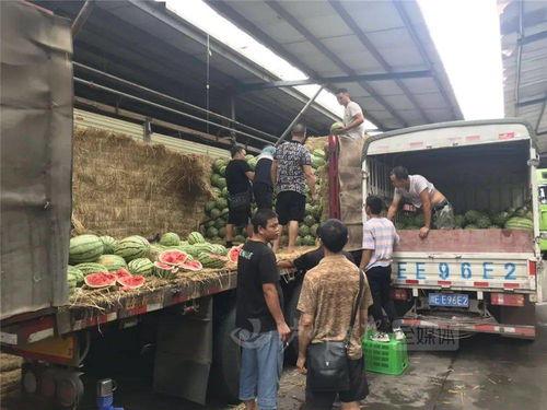 泸州市民吃瓜,共享清凉时光