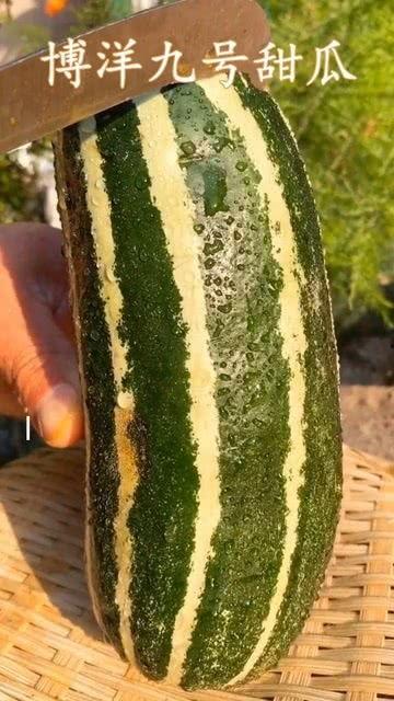 带你吃瓜艺术家,带你领略“带你吃瓜”艺术家独特魅力