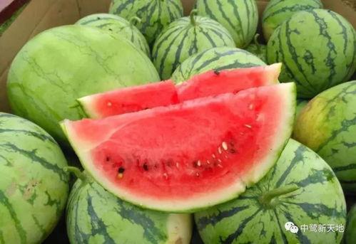 南充甜夜吃瓜,一场别开生面的吃瓜盛宴