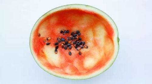 吃瓜小圆勺子,揭秘吃瓜小圆勺子的趣味生活